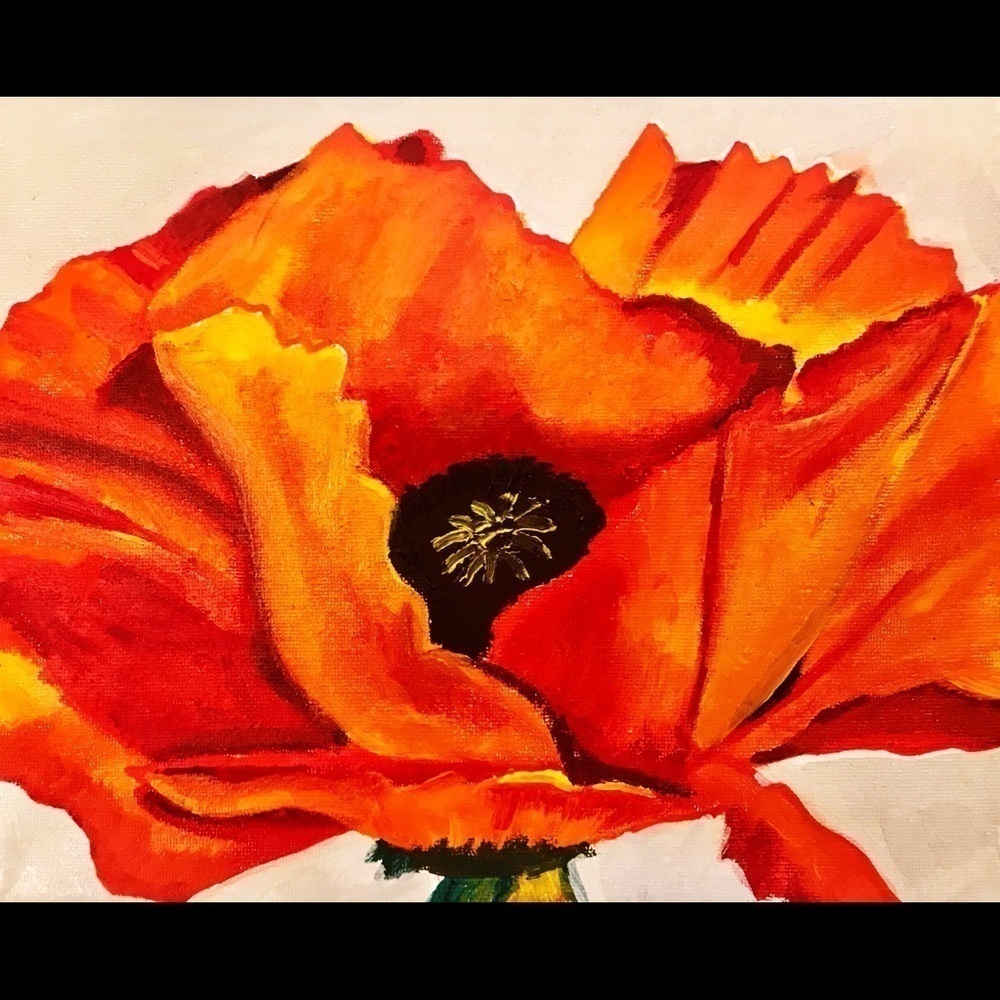 Red Poppy - Picture 1 of 1